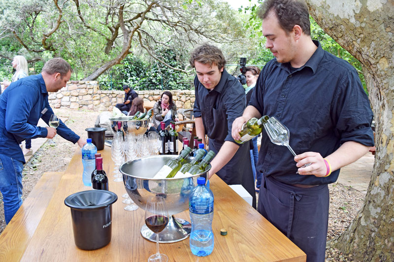 . Fleur du Cap launches Unfiltered Chenin blanc and Pinotage