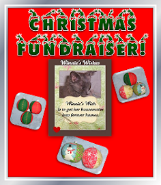 Christmas Fundraiser!