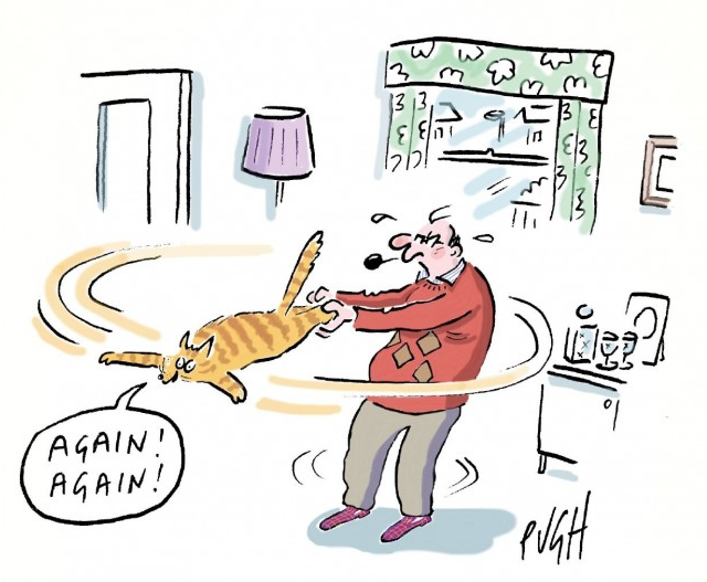 English with Ann IDIOMANIA cat