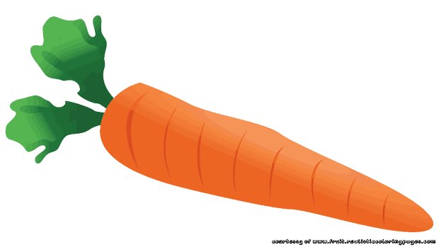 incredible carrot vegetables