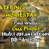 Homestay dan Catering di Gua Pindul Yogyakarta