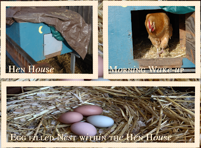 Get To Know The Hen House.