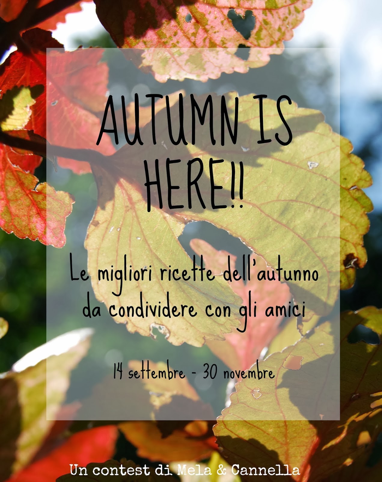 Contest "Autumn is here"