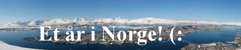 Ett år i Norge