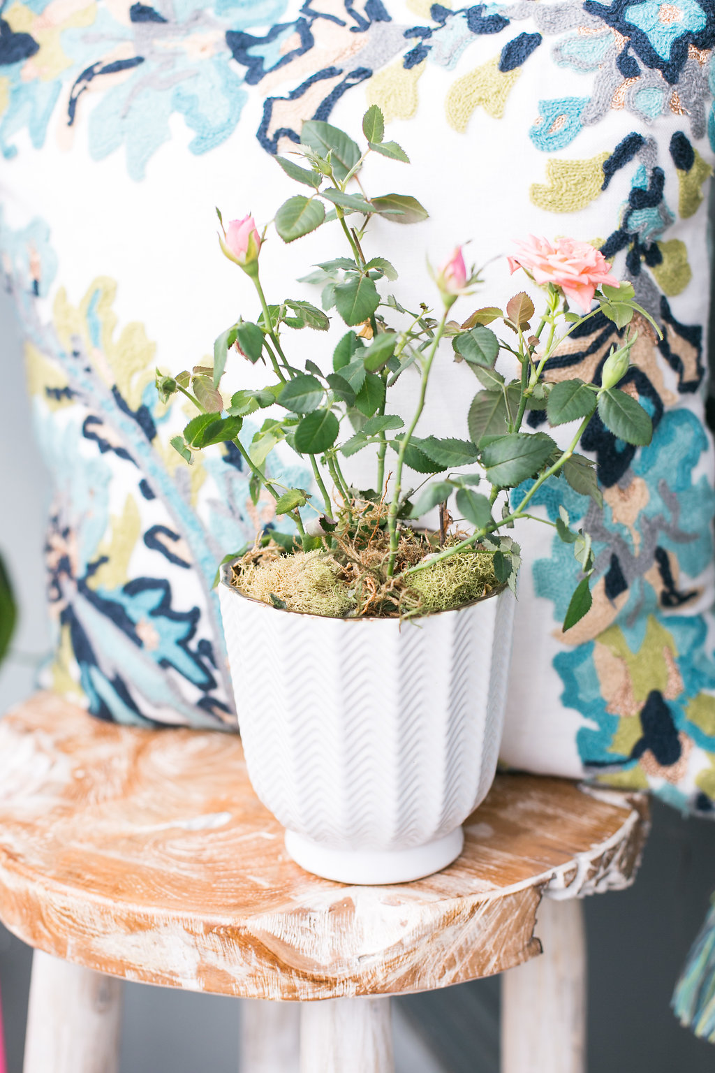 How to Entertain in a Small Condo Patio with HomeSense Bijuleni