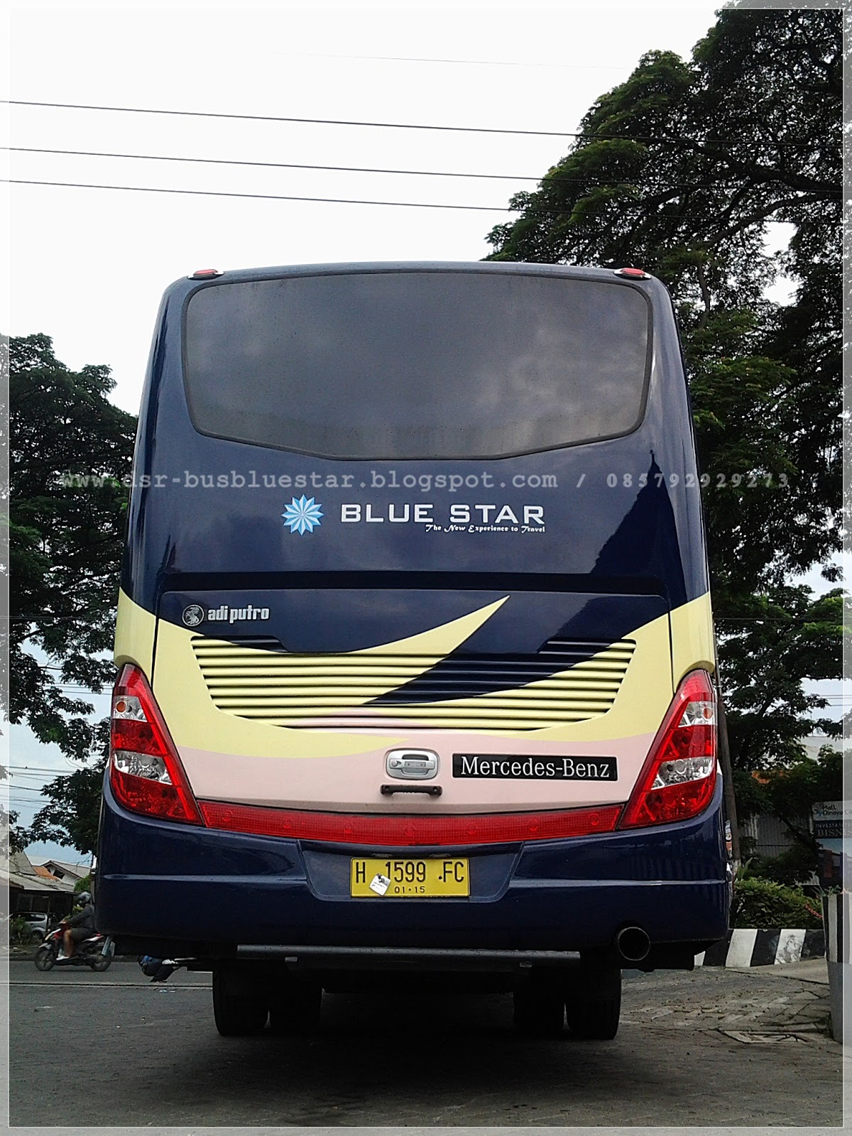 Direct Sales Representative Bus Pariwisata Blue Star BUS BLUE STAR