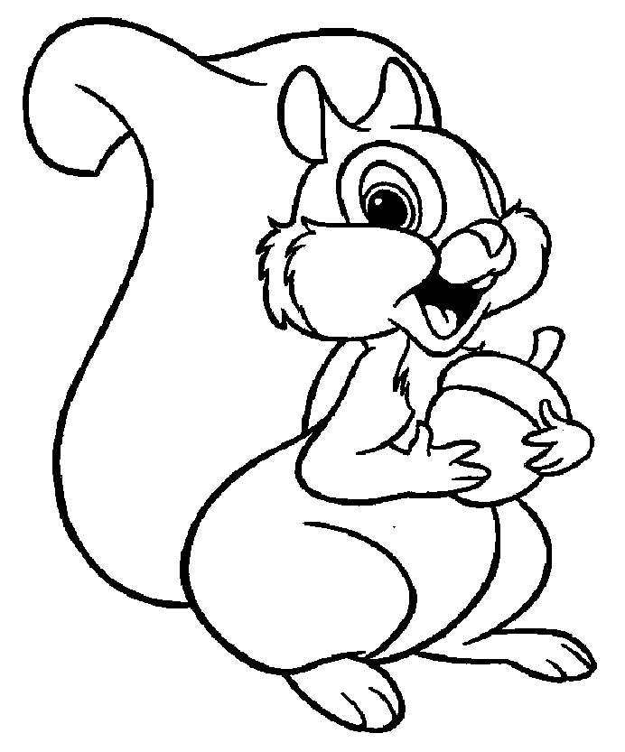 Animal Coloring Pictures For Kids: Squirrels Coloring Pages