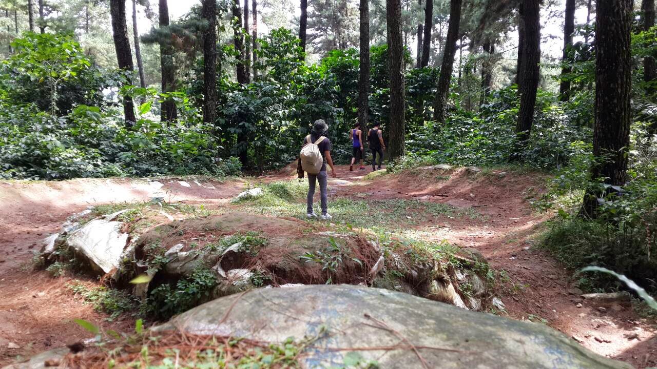 TAMAN WISATA ALAM GUNUNG PANCAR, SENTUL. | Love at first sight