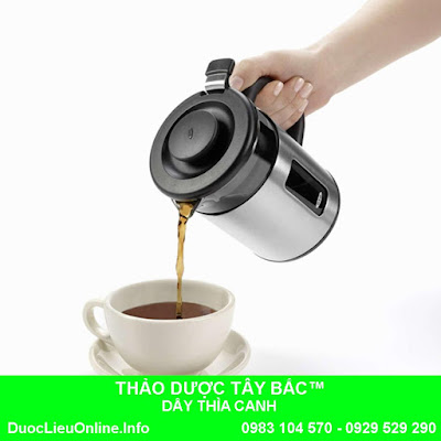 NƯỚC DÂY THÌA CANH