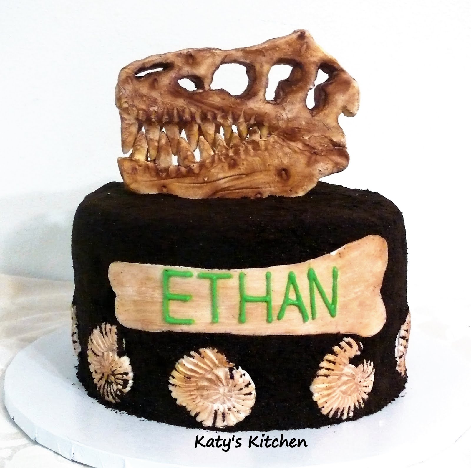 Katy's Kitchen TRex Dinosaur Fossil Birthday Cake with Ammonites
