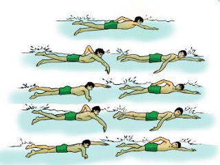 Panduan Berlatih Pernapasan dalam Renang