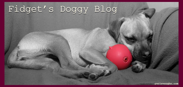 Fidget's Doggy Blog