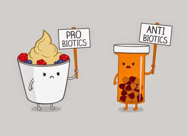 probióticos antibióticos flora intestinal y salud