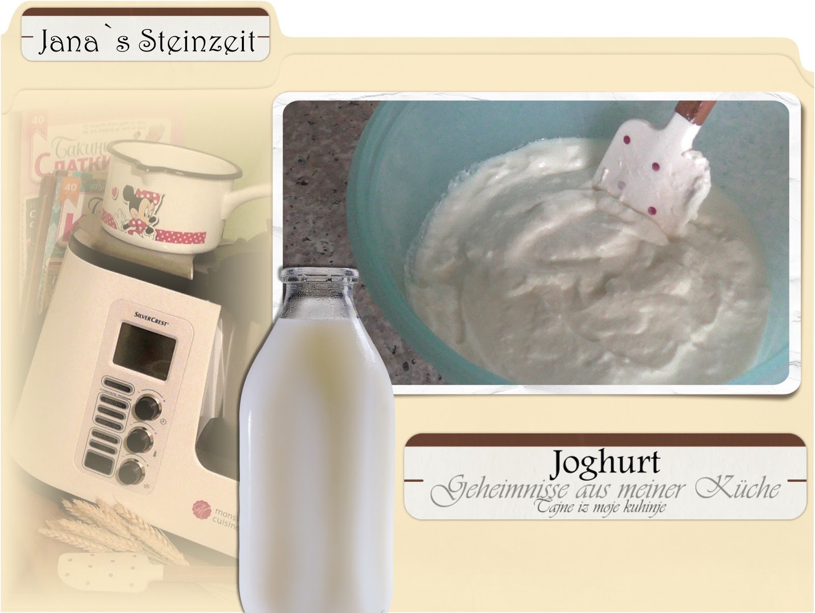 Janas Steinzeit: (Video) Joghurt - Herstellung mit Monsieur Cuisine Plus
