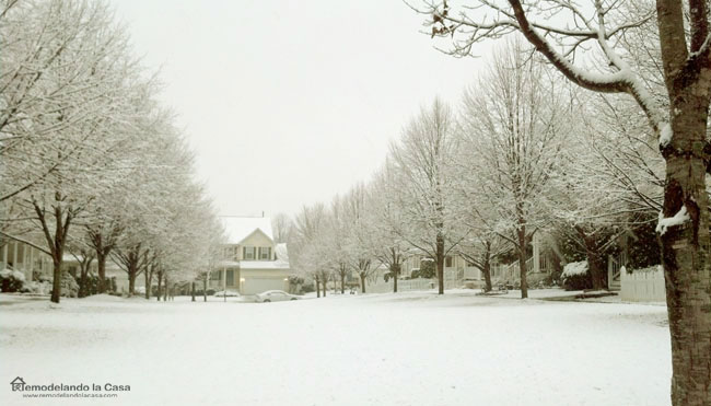 Fountain Hills, Germantown MD - winter
