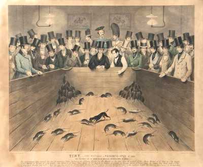 BOOKTRYST: Rats To You: An Unusual Infested Collection