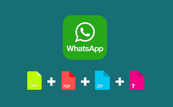 Download Unknown Format File from WhatsApp