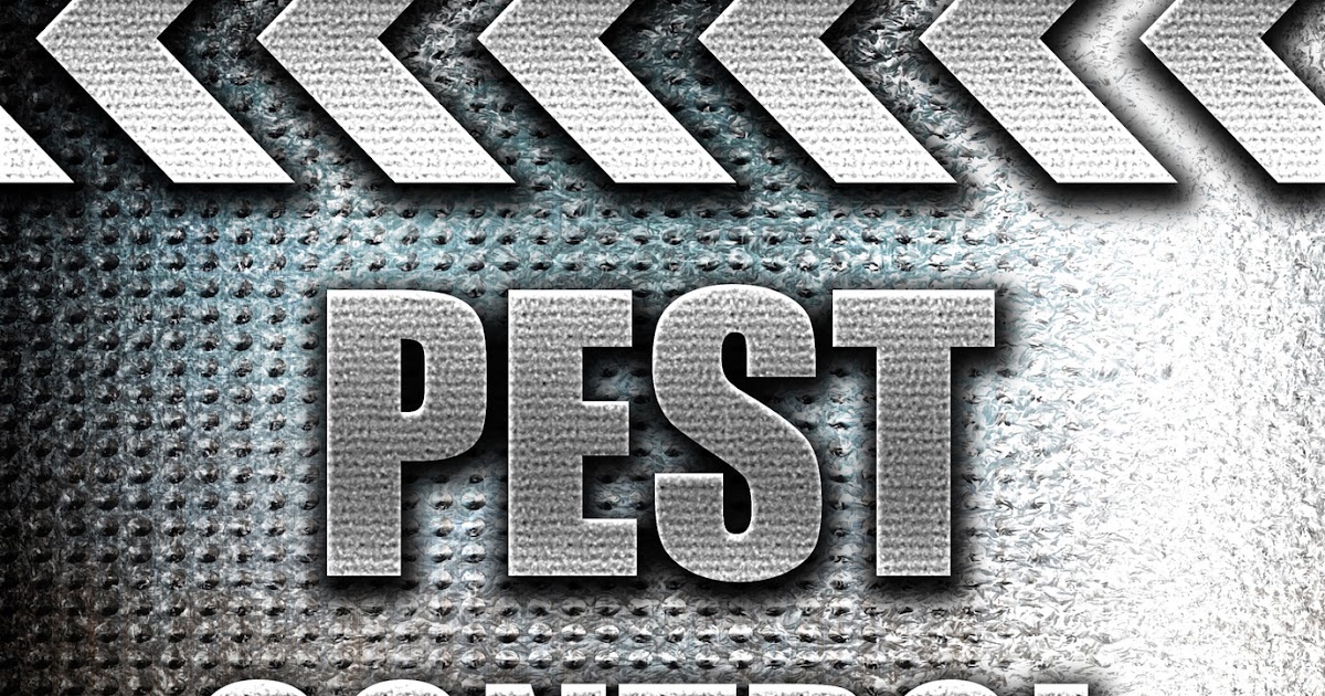 American Pest Management Why Invest In Reliable Pest Control Services