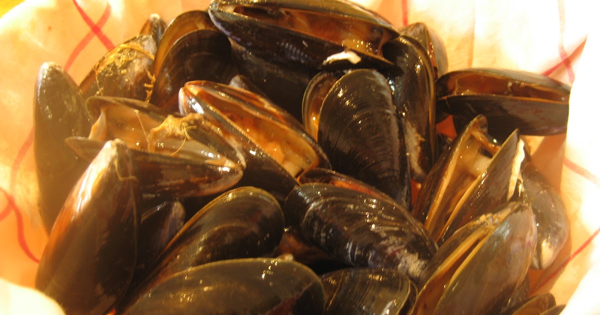 PEBBLE SOUP How to Cook & Freeze Mussels