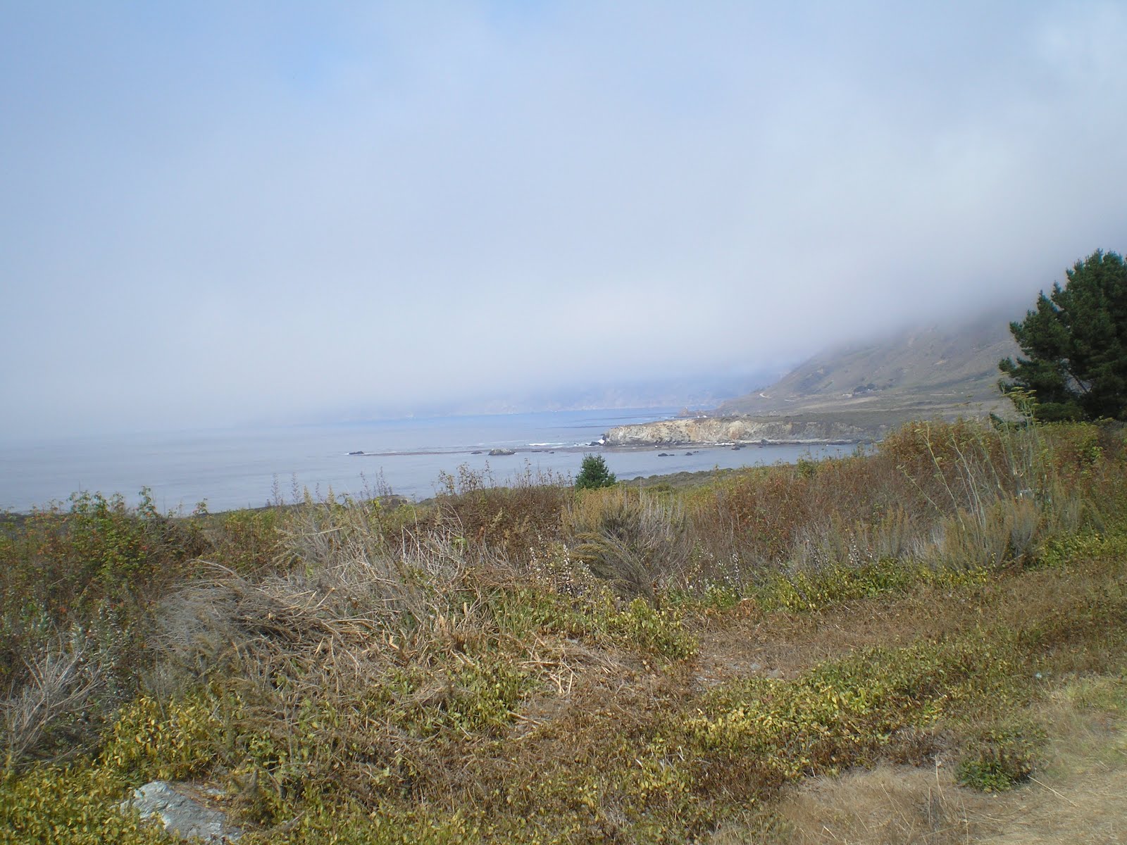 The Road Genealogist Monterey to Cambria to Paso Robles, CA