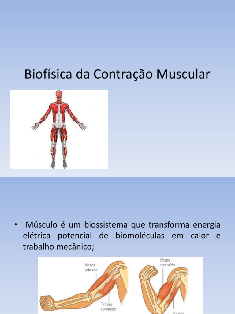 tipos de contração muscular - wood scribd braxin