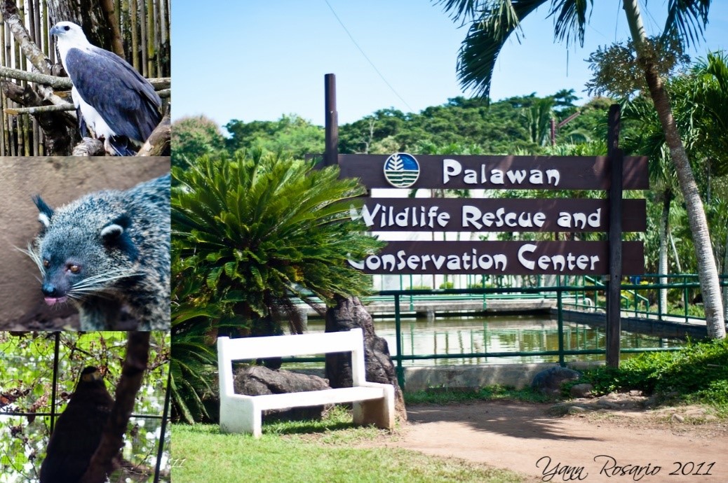 The Land of Promise: Palawan Wildlife Rescue and Conservation Center