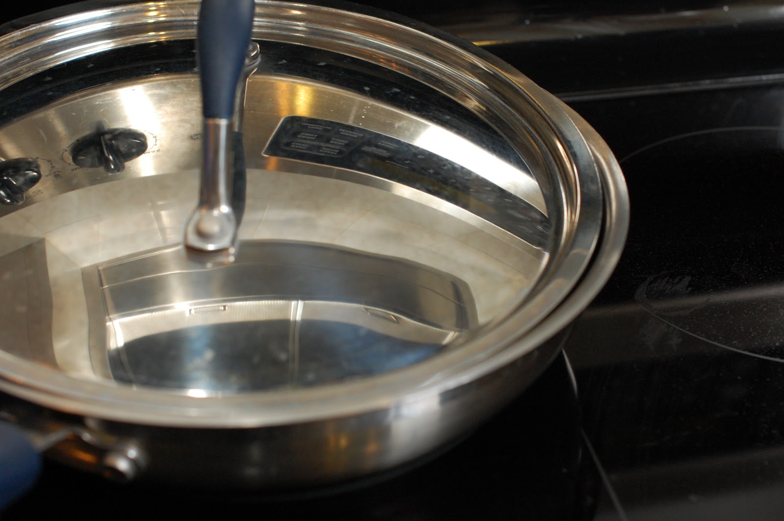 In Michelle's Kitchen Easy Pan Fried Frozen Chicken Breasts with Your