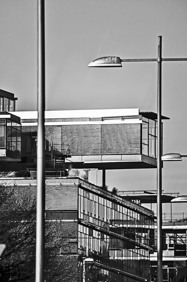 stuttgartcooking: Black Tiger mit Rucola-Radicchio-Salat an Zitronen ... stuttgartcooking: Black Tiger mit Rucola-Radicchio-Salat an Zitronen ...