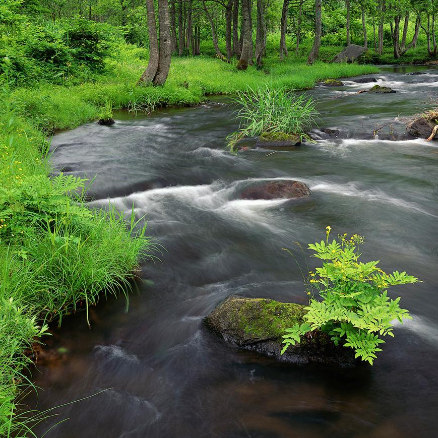 Epitome: Life Is a River