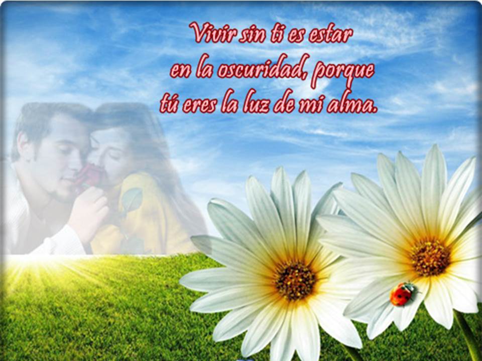 El amor es un bichito pequeñito y jugeton, ten cuidado no te pique y te ...