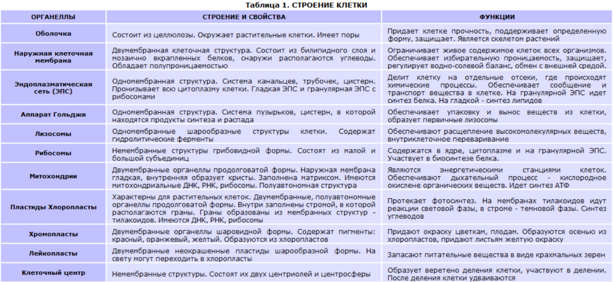 Органоид накапливающий продукты обмена веществ клетки. Строение клетки органеллы строение функции таблица. Строение клетки функции органоидов клетки таблица. Таблица клеточные органоиды строение и функции. Органоиды клетки строение и функции таблица.