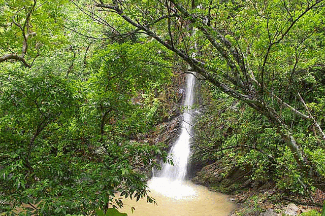 waterfall, gif, recent rain,mud