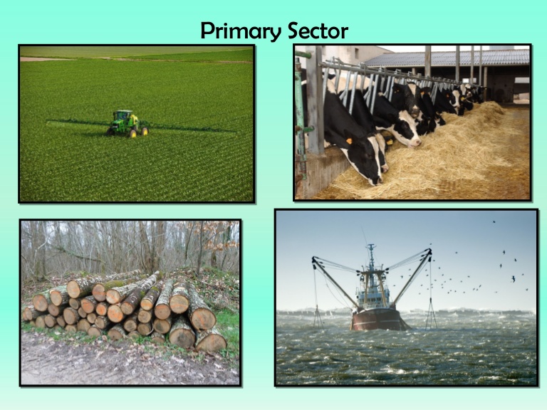 Primary, Secondary, Tertiary, Quaternary & Quinary Sectors of Economy