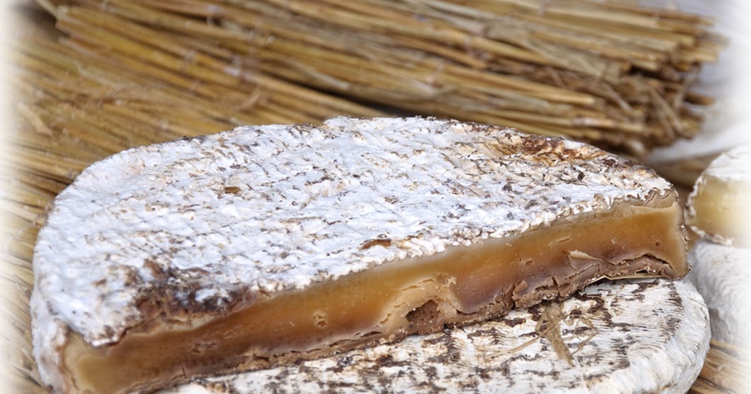 Todo sobre quesos Mundoquesos Brie Noir