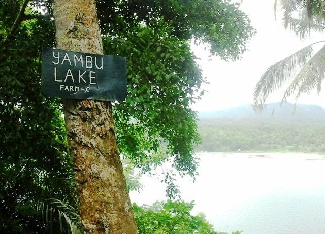 yambo lake, lake yambo, 7 lakes of san pablo, san pablo lakes, san pablo laguna, san pablo seven lakes, san pablo tourist attraction, lakes of san pablo, how to go to seven lakes of san pablo
