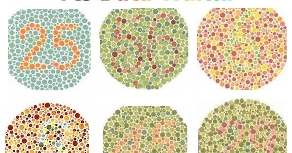 Cara Agar Lolos Tes Buta Warna (Contoh tes buta warna dan