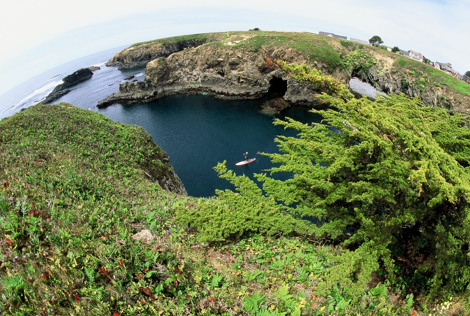 KAYAK MENDOCINO Summer paddling and Siena