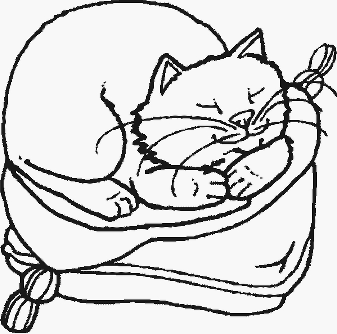 Coloring Pages for Kids: Cat Coloring Pages for Kids