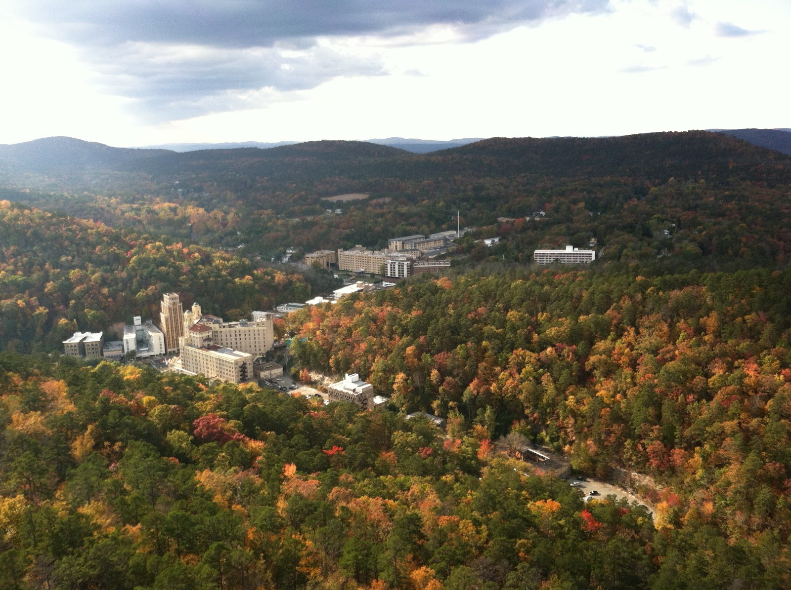 An Old Bear and His Honey ARKANSAS LITTLE ROCK AND HOT SPRINGS