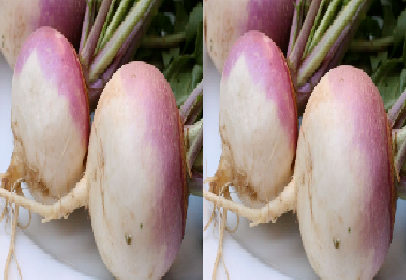 Turnip meaning in hindi, Spanish, tamil, telugu, malayalam, urdu, kannada name, gujarati, in marathi, indian name, marathi, tamil, english, other names called as, translation Turnip meaning in hindi, Spanish, tamil, telugu, malayalam, urdu, kannada name, gujarati, in marathi, indian name, marathi, tamil, english, other names called as, translation