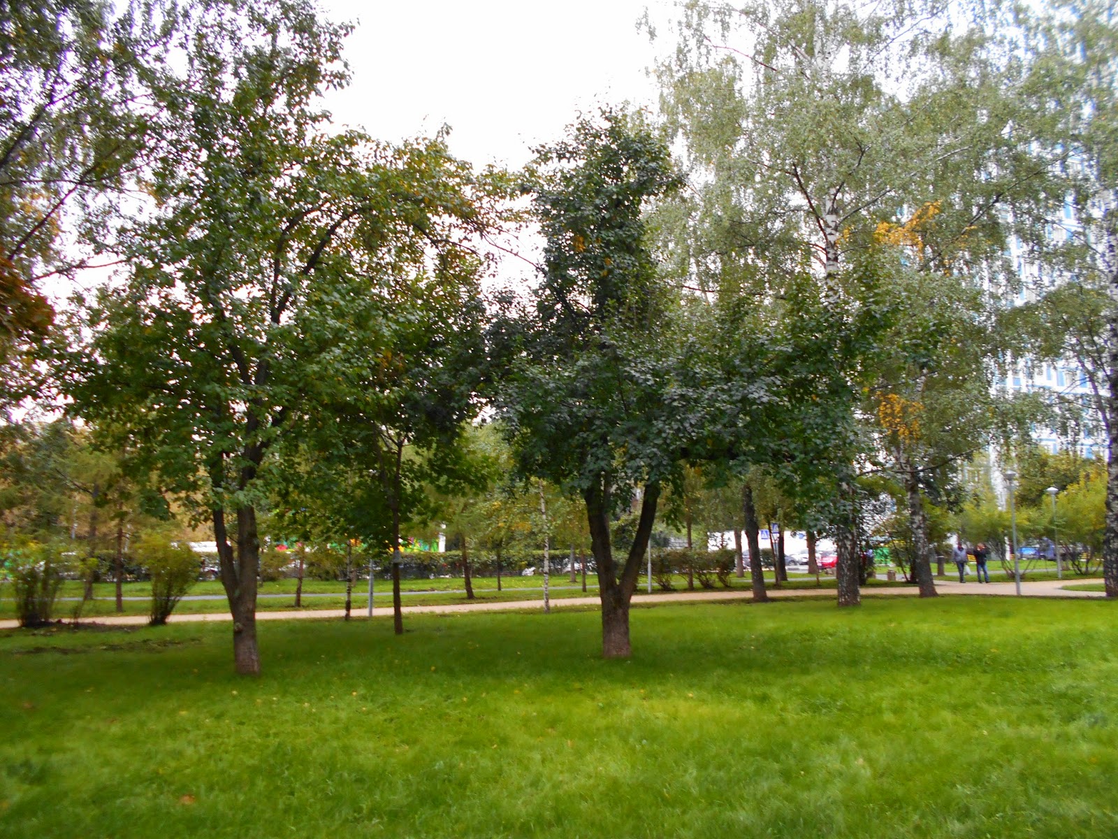 Черноморский бульвар в москве