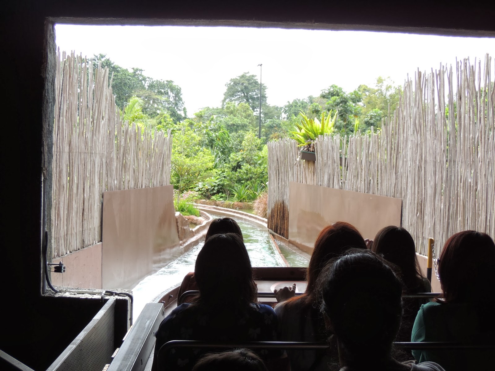 RIVER SAFARI // AMAZON RIVER QUEST - R.Y GOH