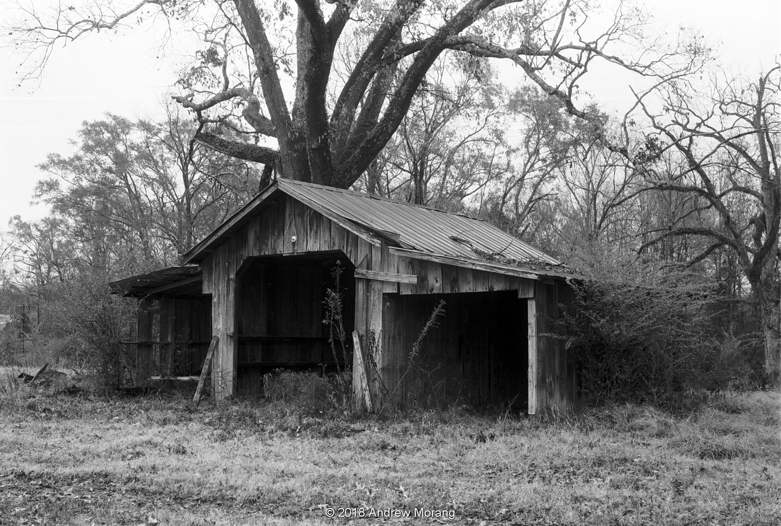 Urban Decay Further Decay and Loss Port Gibson, Mississippi (B&W film)