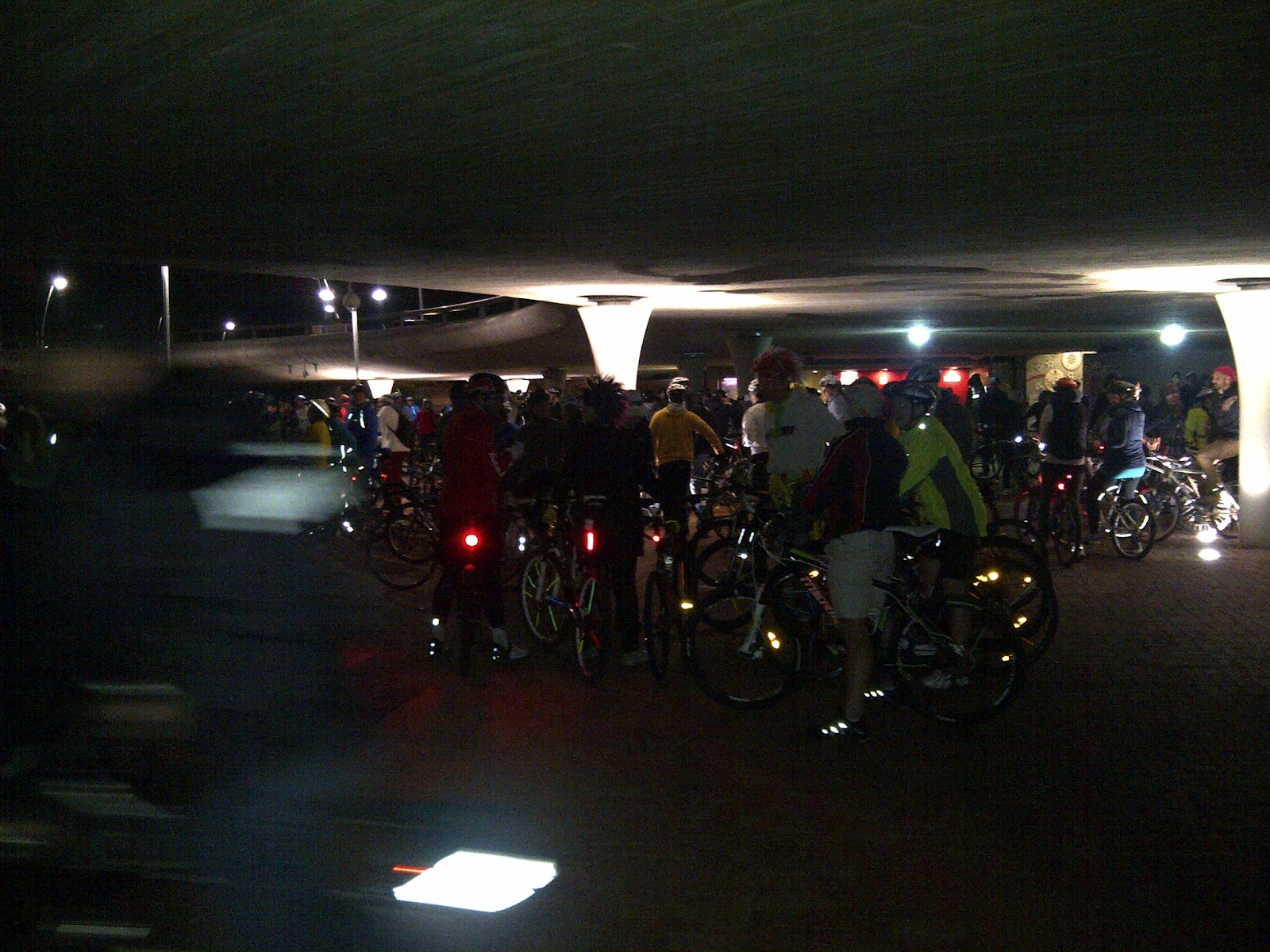 Etching Pathways moonlightmass in Cape Town