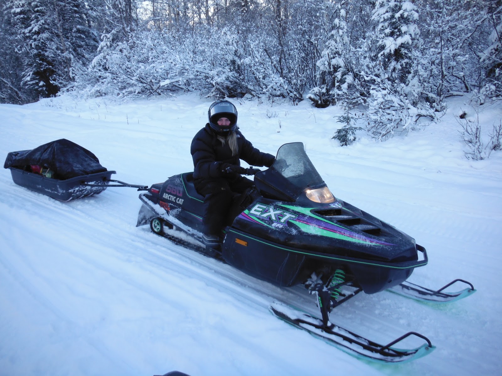 Our Alaskan Adventures January 2013