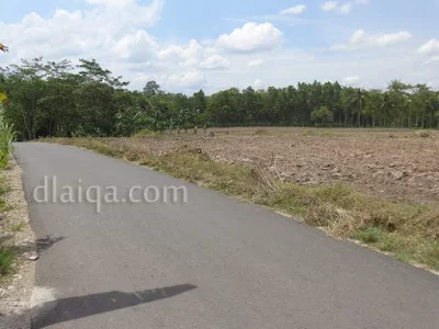 buka lahan baru