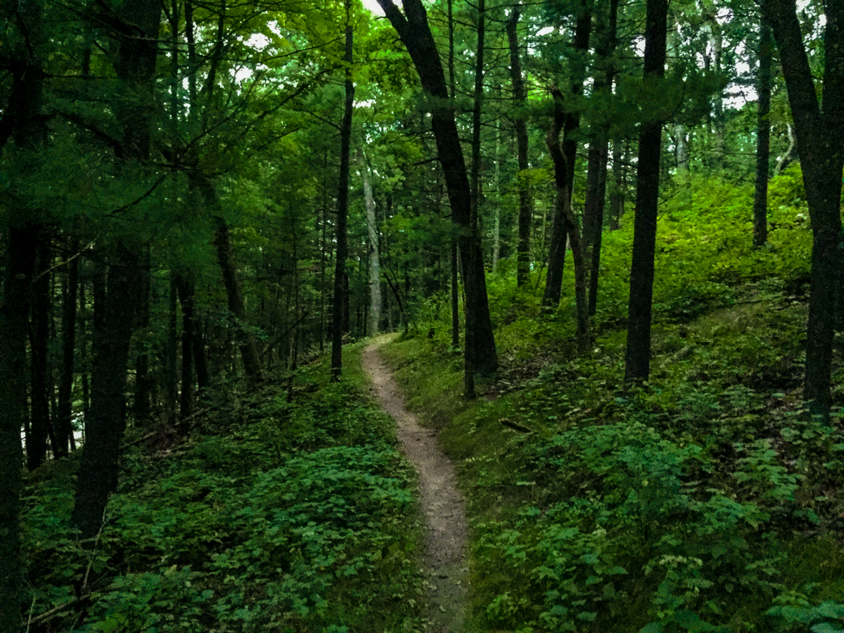 Hiking the Ice Age Trail Skunk and Foster Lakes Segment