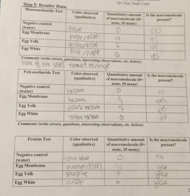 Macromolecules essay picture