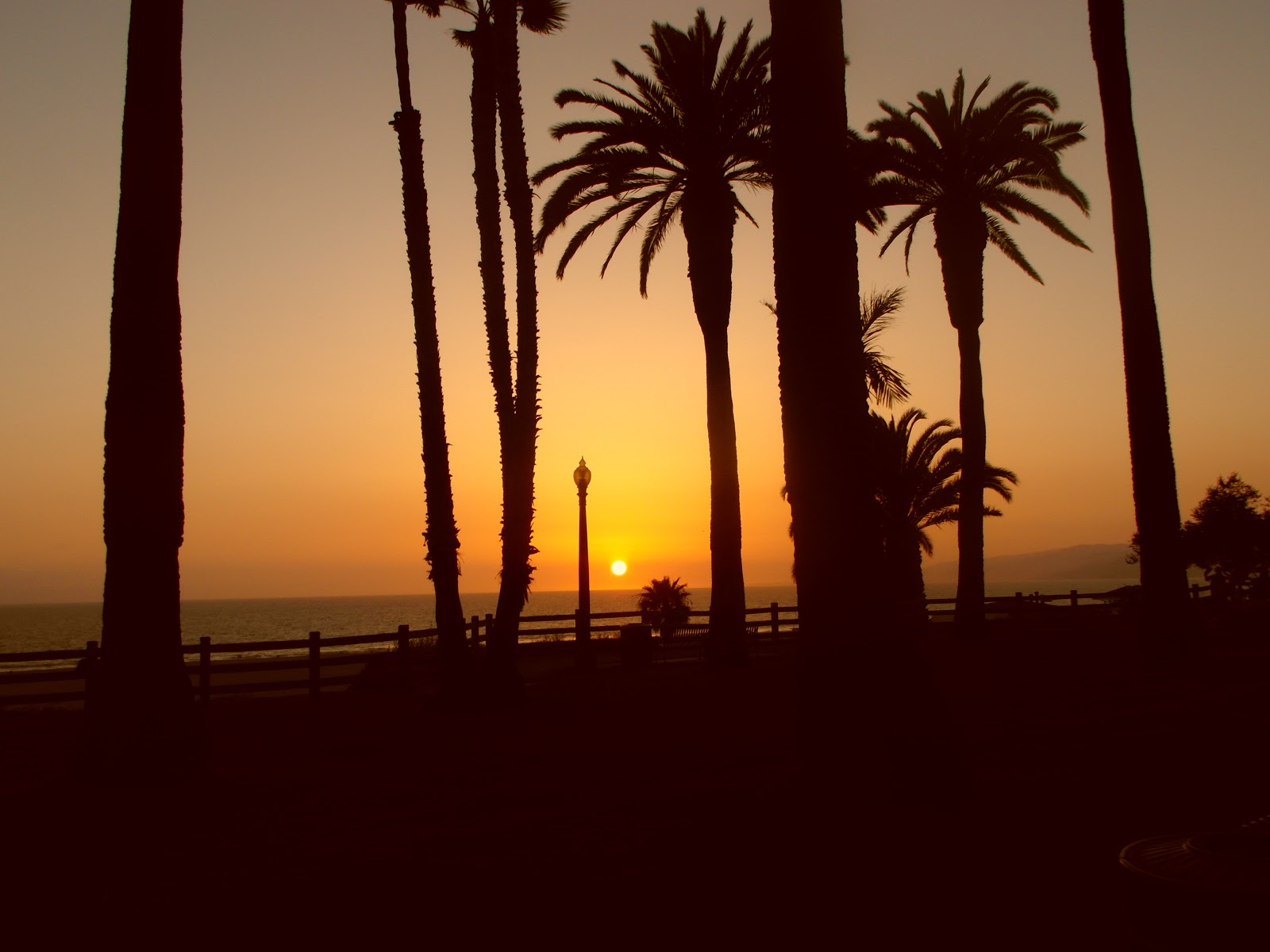 Julien à Los Angeles Un coucher de soleil à Santa Monica