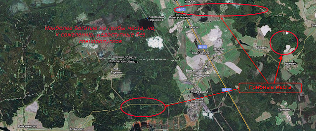 Грибные перелески челябинск карта